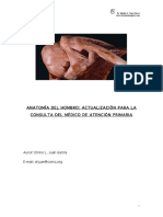 Anatomía Del Hombro PDF