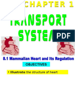 157108298-8-1-Structure-of-Heart.ppt