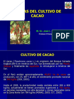 Plagas en Cacao