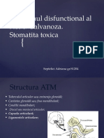 Sindromul Disfunctional Al ATM. Septelici