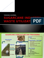 sugarcaneindustrywasteutilization-140410075042-phpapp01