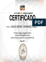 Certificado - Entrenamiento Completo en Ventas