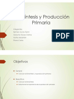 Fotosintesis y Produccion Primaria