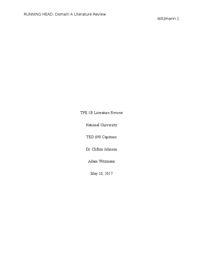 What is a literature review image