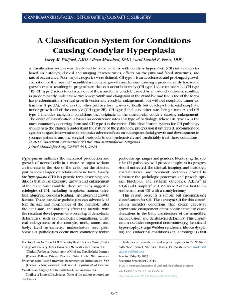 The 2 different skeletal muscle fibers : slow twitch and fast twitch image