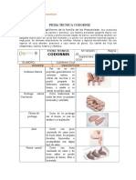 Ficha técnica codorniz