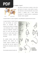 Capsulite Adesiva ou Ombro Congelado.docx