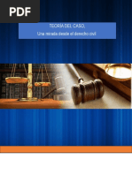 Cartilla Teoria Del Caso en materia civil
