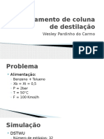 Detalhamento de Coluna de Destilação