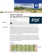 Alley Cropping An Agroforestry Practice