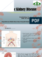 Bismillah PPT CKD Fix