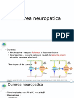 durerea neuropatica.pptx