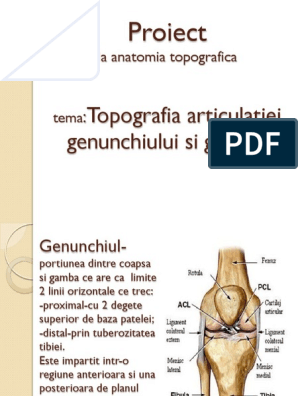 periostul genunchiului