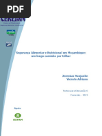 Estudo de Caso SAN Em Mocambique