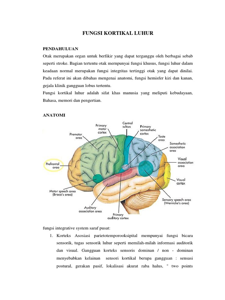 MMSE | PDF