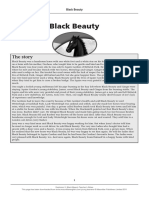 EX5_Black_Beauty_teacher_notes.pdf