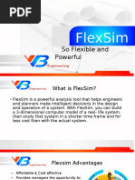 FlexSim TP