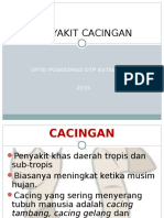 5 Kecacingan