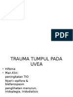 Trauma Tumpul Uvea-lensa