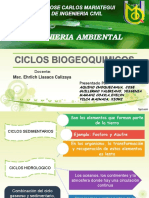 Ciclos Biogeoquimicos