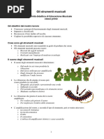 Gli Strumenti Musicali - Unità Didattica Di Educazione Musicale