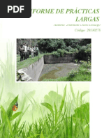 Informe Prácticas Largas