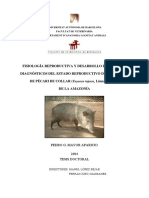 Pma1de1 PDF