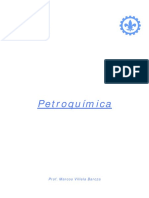 Petroquimica PDF