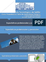 1.1 Expectativas Profesionales y Personales