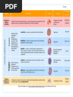 esquema_imunidade.pdf