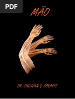 RESUMO - MÃO