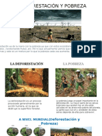 La Deforestación y Pobreza 2