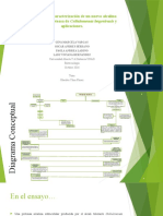 Diagrama y Presentación Trabajo Grupal-Final.