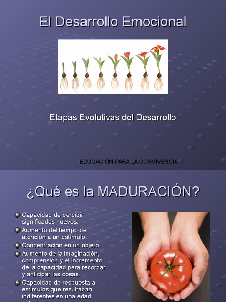 El Desarrollo Emocional | PDF | Las emociones | Adultos