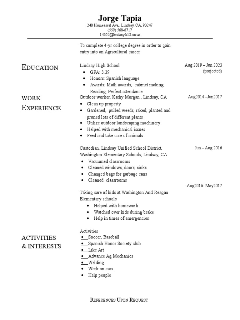 Resume Template 1 PDF