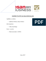 Ensayo Macro Final PDF