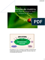 Distribuição de Matéria1 PDF