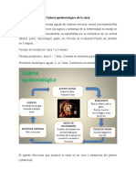 Cadena Epidemiologica de La Rabia