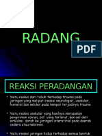 RADANG