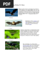 Download 10 Hewan Yang Hidup Di Udara by wiyasika SN348102558 doc pdf