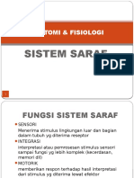 Anfis Sistem Saraf