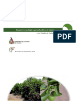 LIMON.pdf