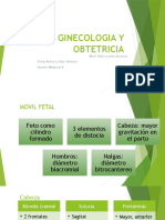 Ginecologia Exposicion