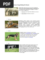 Kliping Hewan Yang Hidup Di Darat Air Dan Udara Kliping Hewan Yang Hidup Di Darat Air Dan Udara