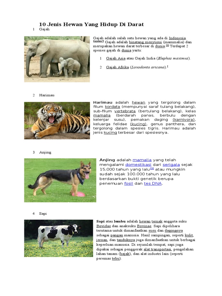 82 Gambar Jenis Hewan Darat Terbaru