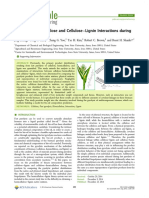 2014 Cellulose−Hemicellulose and Cellulose−Lignin Interactions during