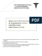 segFacultativo.pdf