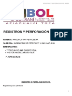 Registros y Perforación Por Baleo