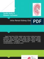 Intra Renal Kidney Disease