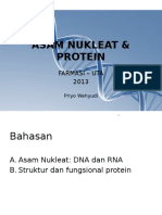 ATT_1381076998246_Lect 2 DNA Protein
